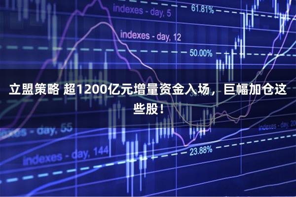 立盟策略 超1200亿元增量资金入场，巨幅加仓这些股！