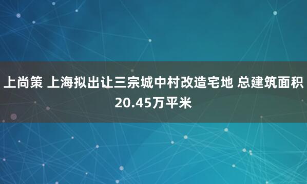 上尚策 上海拟出让三宗城中村改造宅地 总建筑面积20.45万平米