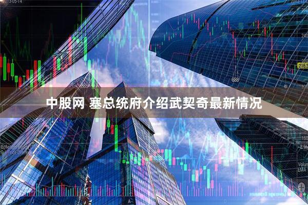 中股网 塞总统府介绍武契奇最新情况