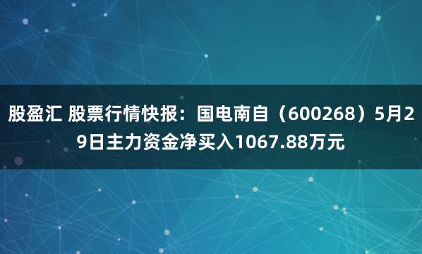 股盈汇 股票行情快报：国电南自（600268）5月29日主力资金净买入1067.88万元