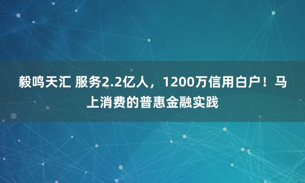 毅鸣天汇 服务2.2亿人，1200万信用白户！马上消费的普惠金融实践